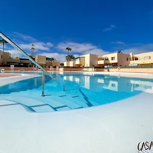 Delfines , Corralejo España